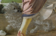 DOG DETAIL from the TOBIAS